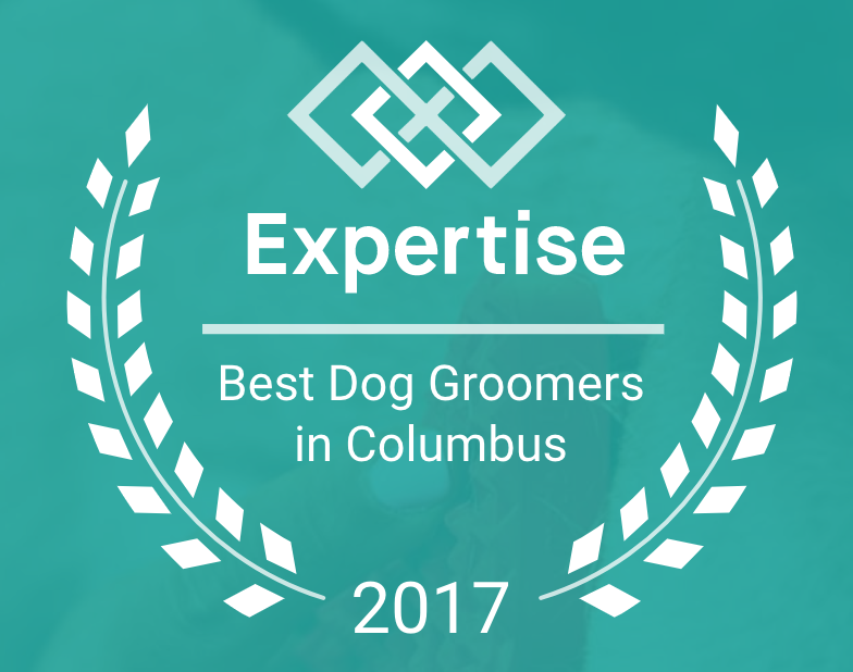 Best Dog Groomers in Columbus 2017 Award