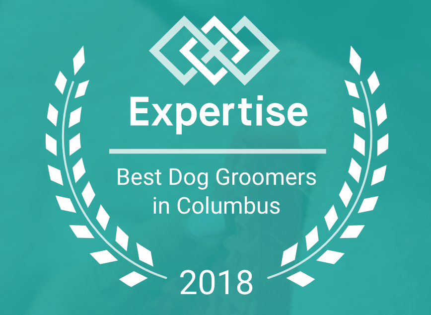 Best Dog Groomers in Columbus 2018 Award