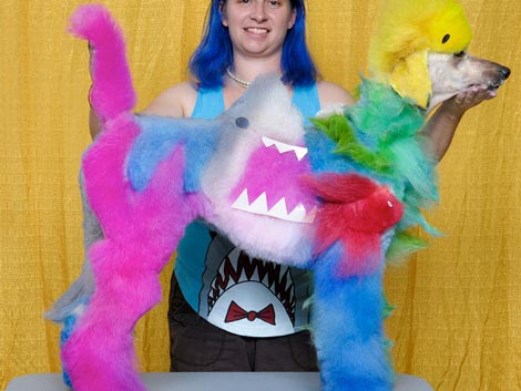 Princess Fiona after shark theme (Shark-A-Poo) creative groom great white shark side
