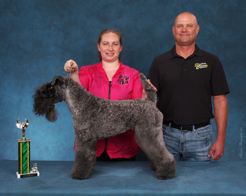 2018 Pet Quest 2nd Place All Other Pure Breeds (Kerry Blue Terrier)