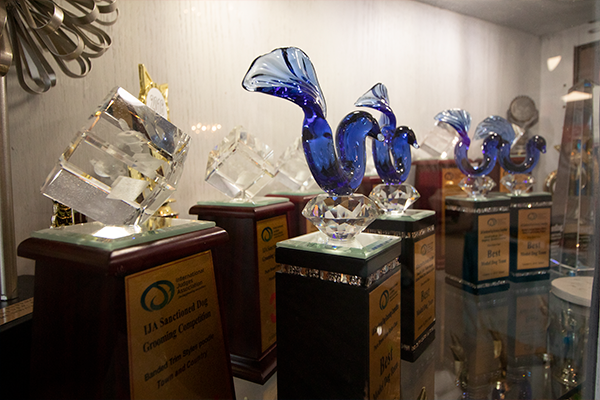 Upper Arlington Designer Paws Salon trophies