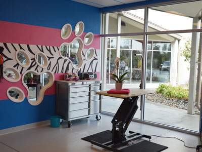 Designer Paws Salon grooming room